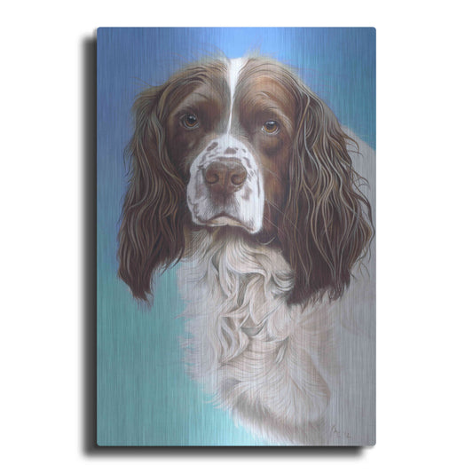 Luxe Metal Art 'Sprinter Spaniel Zac' by Karie-Ann Cooper, Metal Wall Art