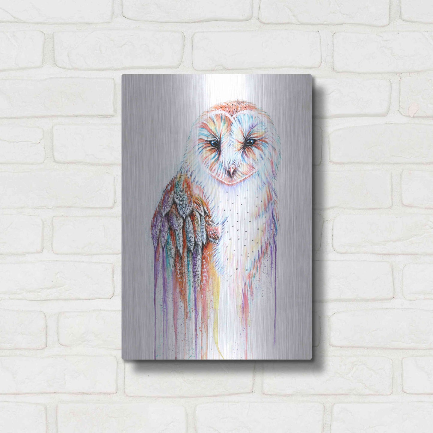 Luxe Metal Art 'Barred Rainbow Owl' by Michelle Faber, Metal Wall Art,12x16