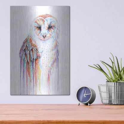 Luxe Metal Art 'Barred Rainbow Owl' by Michelle Faber, Metal Wall Art,12x16