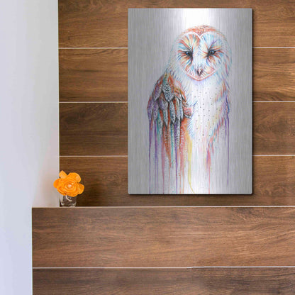 Luxe Metal Art 'Barred Rainbow Owl' by Michelle Faber, Metal Wall Art,12x16