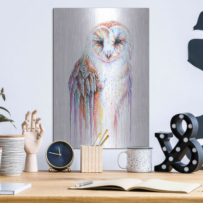 Luxe Metal Art 'Barred Rainbow Owl' by Michelle Faber, Metal Wall Art,12x16