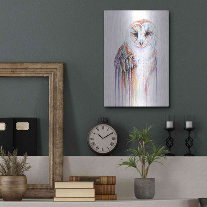 Luxe Metal Art 'Barred Rainbow Owl' by Michelle Faber, Metal Wall Art,12x16