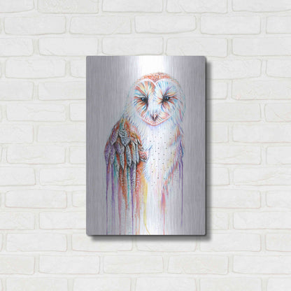 Luxe Metal Art 'Barred Rainbow Owl' by Michelle Faber, Metal Wall Art,16x24