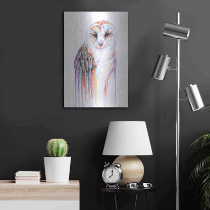 Luxe Metal Art 'Barred Rainbow Owl' by Michelle Faber, Metal Wall Art,16x24