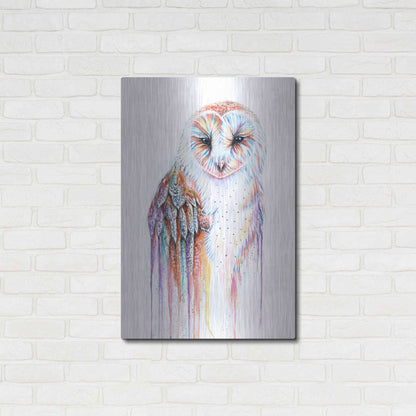 Luxe Metal Art 'Barred Rainbow Owl' by Michelle Faber, Metal Wall Art,24x36