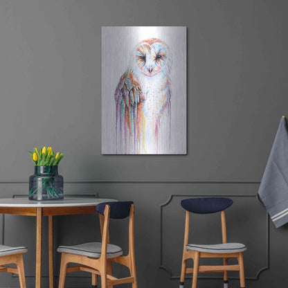 Luxe Metal Art 'Barred Rainbow Owl' by Michelle Faber, Metal Wall Art,24x36
