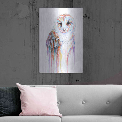 Luxe Metal Art 'Barred Rainbow Owl' by Michelle Faber, Metal Wall Art,24x36