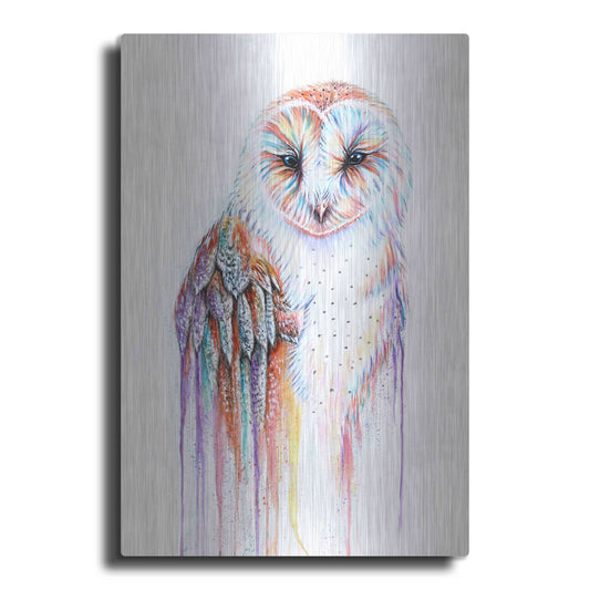 Luxe Metal Art 'Barred Rainbow Owl' by Michelle Faber, Metal Wall Art