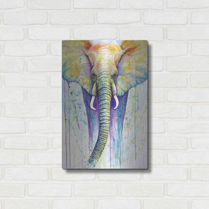 Luxe Metal Art 'Elephant Colors' by Michelle Faber, Metal Wall Art,16x24