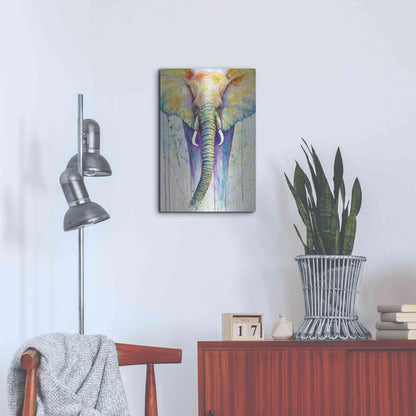 Luxe Metal Art 'Elephant Colors' by Michelle Faber, Metal Wall Art,16x24