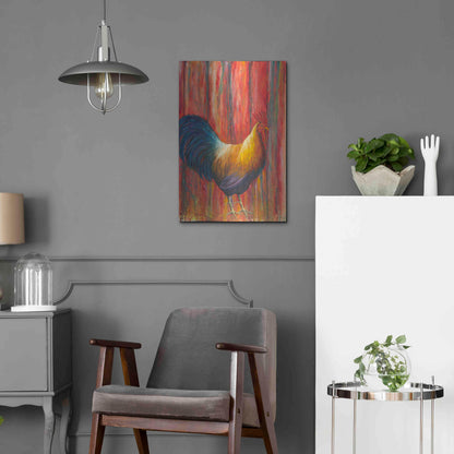 Luxe Metal Art 'Mr. Rooster' by Michelle Faber, Metal Wall Art,16x24