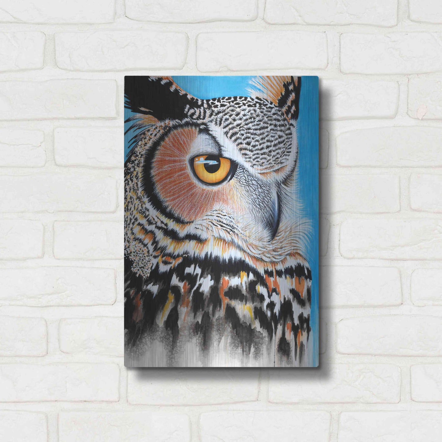 Luxe Metal Art 'Great Horned Owl Eye' by Michelle Faber, Metal Wall Art,12x16