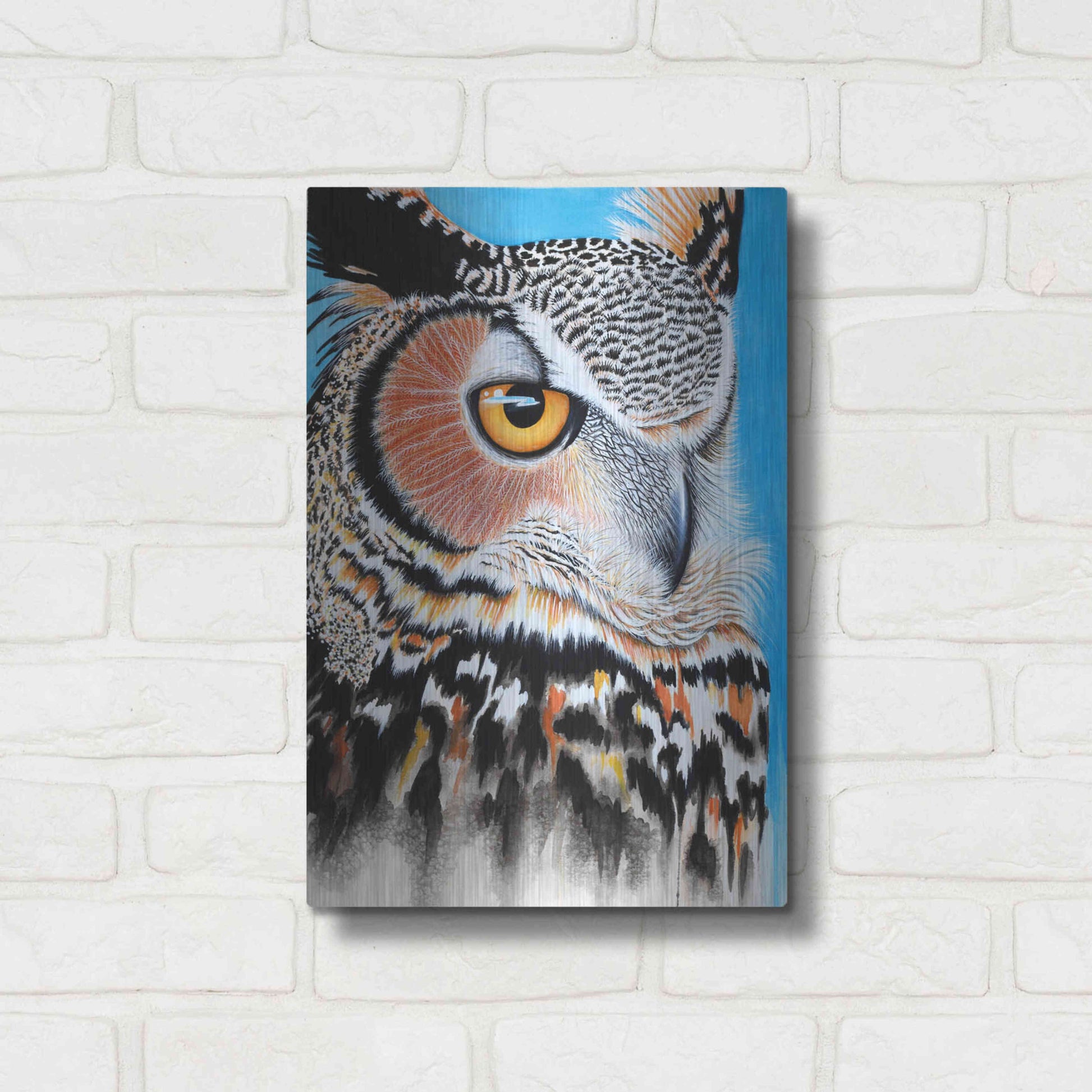 Luxe Metal Art 'Great Horned Owl Eye' by Michelle Faber, Metal Wall Art,12x16
