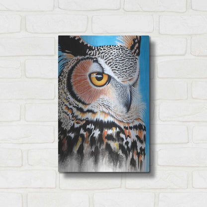 Luxe Metal Art 'Great Horned Owl Eye' by Michelle Faber, Metal Wall Art,12x16