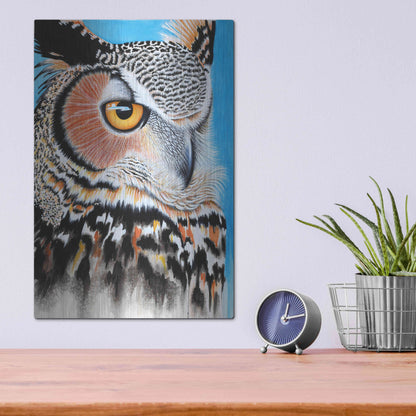Luxe Metal Art 'Great Horned Owl Eye' by Michelle Faber, Metal Wall Art,12x16