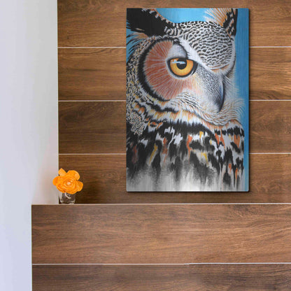 Luxe Metal Art 'Great Horned Owl Eye' by Michelle Faber, Metal Wall Art,12x16