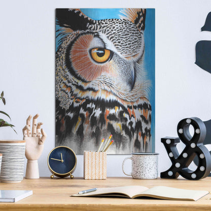 Luxe Metal Art 'Great Horned Owl Eye' by Michelle Faber, Metal Wall Art,12x16