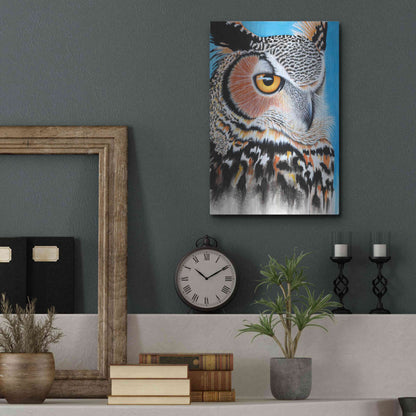 Luxe Metal Art 'Great Horned Owl Eye' by Michelle Faber, Metal Wall Art,12x16