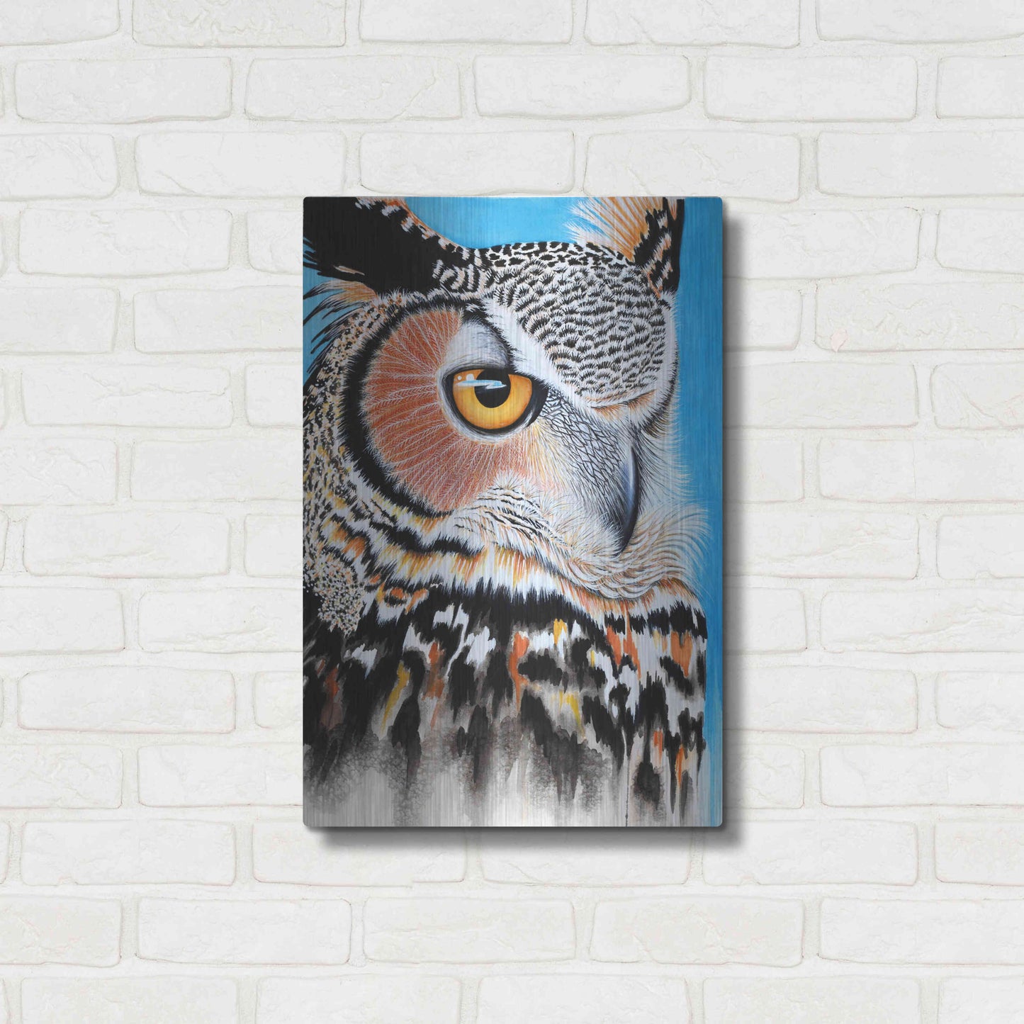 Luxe Metal Art 'Great Horned Owl Eye' by Michelle Faber, Metal Wall Art,16x24