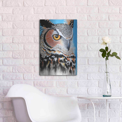 Luxe Metal Art 'Great Horned Owl Eye' by Michelle Faber, Metal Wall Art,16x24