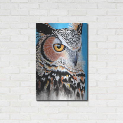 Luxe Metal Art 'Great Horned Owl Eye' by Michelle Faber, Metal Wall Art,24x36