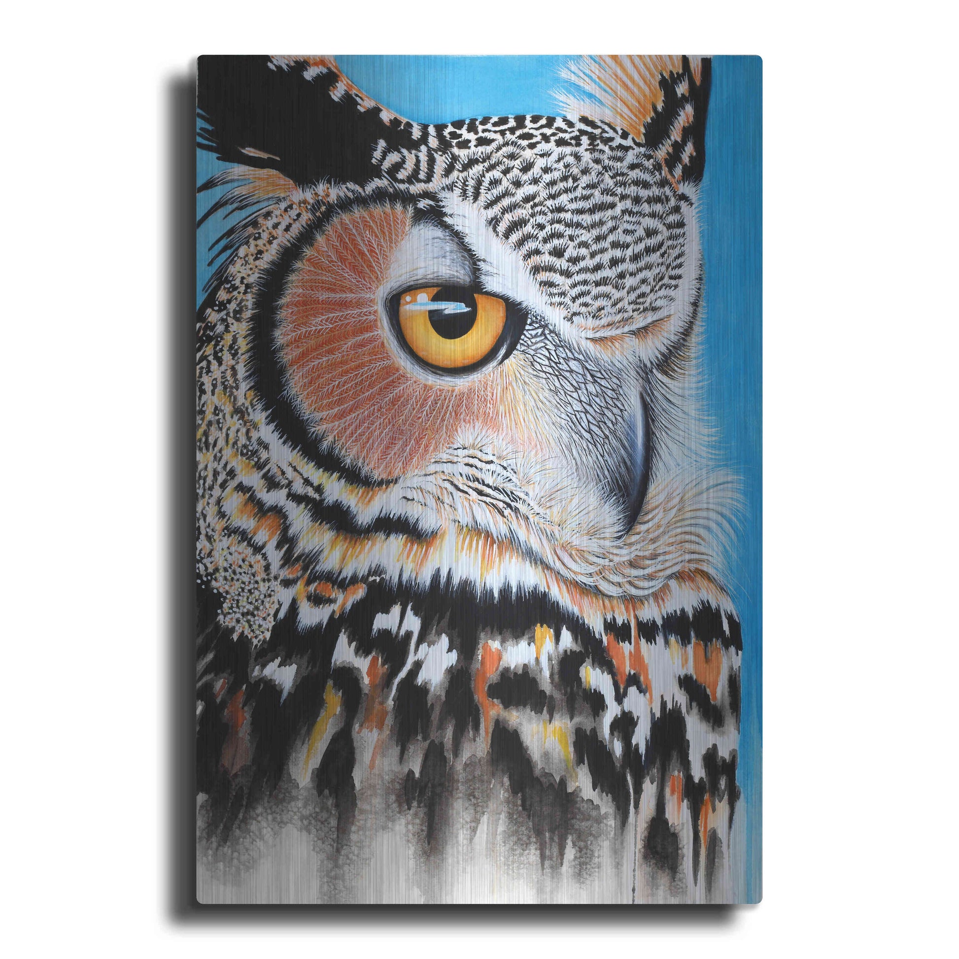 Luxe Metal Art 'Great Horned Owl Eye' by Michelle Faber, Metal Wall Art