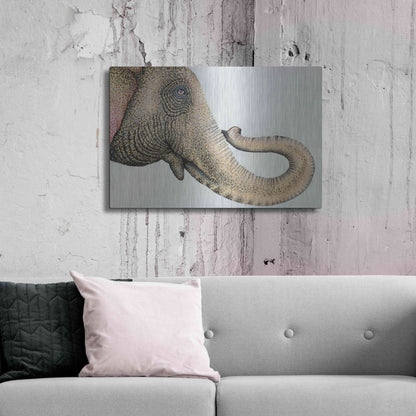 Luxe Metal Art 'Spotted Asian Elephant 2' by Michelle Faber, Metal Wall Art,36x24