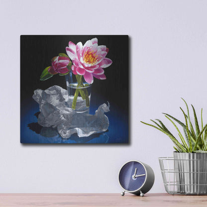 Luxe Metal Art 'A Day In A Life' by Francois Chartier, Metal Wall Art,12x12