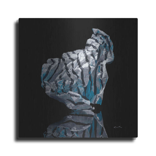 Luxe Metal Art 'Iceberg VI' by Francois Chartier, Metal Wall Art