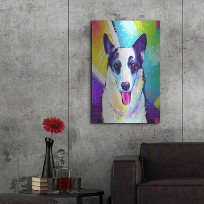 Luxe Metal Art 'Pop Art Border Collie' by Furbaby Affiliates, Metal Wall Art,24x36