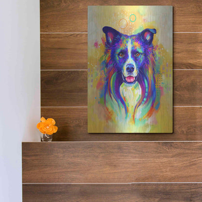 Luxe Metal Art 'Pop Art Border Collie 2' by Furbaby Affiliates, Metal Wall Art,12x16