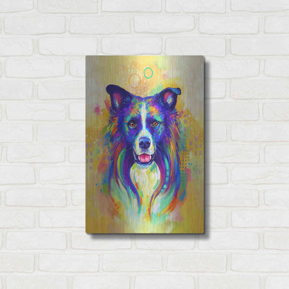 Luxe Metal Art 'Pop Art Border Collie 2' by Furbaby Affiliates, Metal Wall Art,16x24