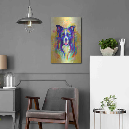 Luxe Metal Art 'Pop Art Border Collie 2' by Furbaby Affiliates, Metal Wall Art,16x24