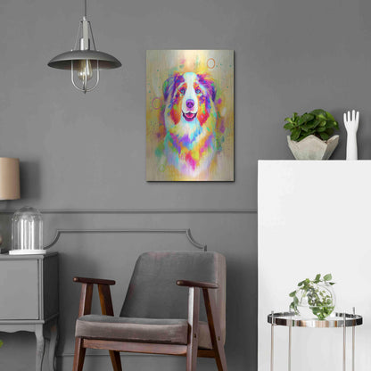 Luxe Metal Art 'Pop Art Australian Shepherd 4' by Furbaby Affiliates, Metal Wall Art,16x24