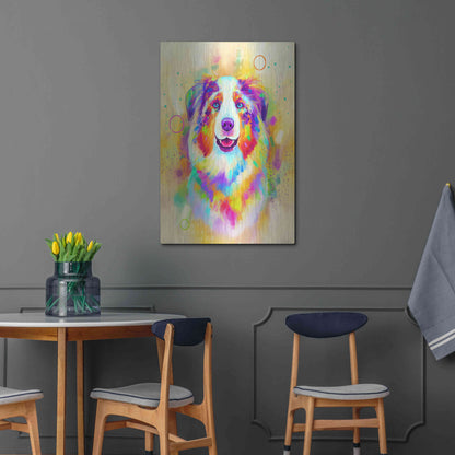 Luxe Metal Art 'Pop Art Australian Shepherd 4' by Furbaby Affiliates, Metal Wall Art,24x36