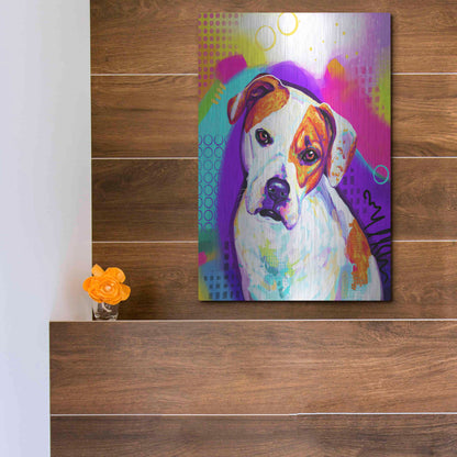 Luxe Metal Art 'Pop Art American Bulldog' by Furbaby Affiliates, Metal Wall Art,12x16