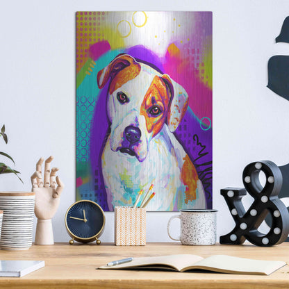 Luxe Metal Art 'Pop Art American Bulldog' by Furbaby Affiliates, Metal Wall Art,12x16