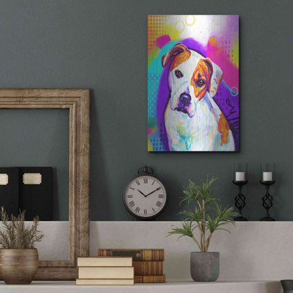Luxe Metal Art 'Pop Art American Bulldog' by Furbaby Affiliates, Metal Wall Art,12x16