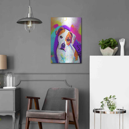 Luxe Metal Art 'Pop Art American Bulldog' by Furbaby Affiliates, Metal Wall Art,16x24