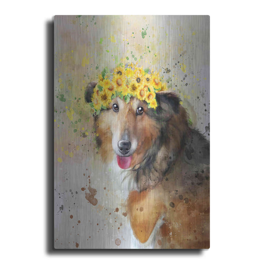 Luxe Metal Art 'Flower Crown Shetland Sheepdog' by Furbaby Affiliates, Metal Wall Art