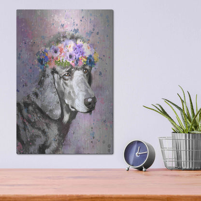 Luxe Metal Art 'Flower Crown Poodle 2' by Furbaby Affiliates, Metal Wall Art,12x16