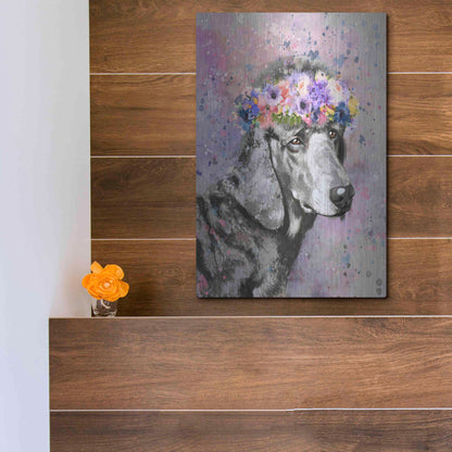 Luxe Metal Art 'Flower Crown Poodle 2' by Furbaby Affiliates, Metal Wall Art,12x16