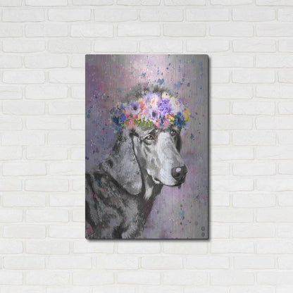 Luxe Metal Art 'Flower Crown Poodle 2' by Furbaby Affiliates, Metal Wall Art,24x36