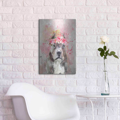 Luxe Metal Art 'Flower Crown Pit Bull' by Furbaby Affiliates, Metal Wall Art,16x24