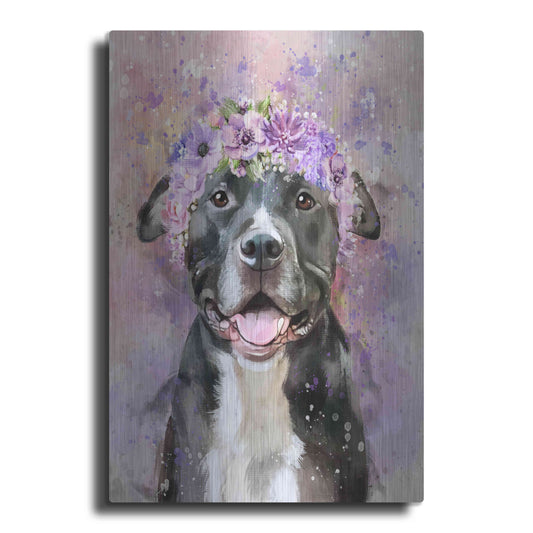 Luxe Metal Art 'Flower Crown Pit Bull 6' by Furbaby Affiliates, Metal Wall Art