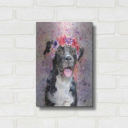 Luxe Metal Art 'Flower Crown Pit Bull 4' by Furbaby Affiliates, Metal Wall Art,12x16