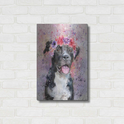 Luxe Metal Art 'Flower Crown Pit Bull 4' by Furbaby Affiliates, Metal Wall Art,16x24