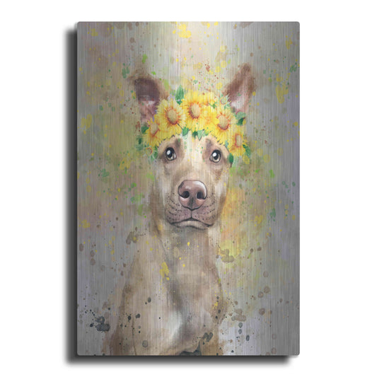 Luxe Metal Art 'Flower Crown Pit Bull 2' by Furbaby Affiliates, Metal Wall Art