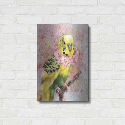 Luxe Metal Art 'Flower Crown Parakeet' by Furbaby Affiliates, Metal Wall Art,16x24