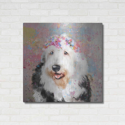 Luxe Metal Art 'Flower Crown Old English Sheepdog' by Furbaby Affiliates, Metal Wall Art,36x36